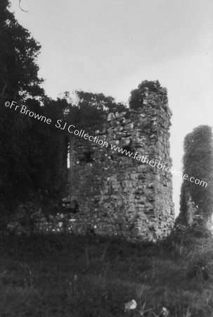 CLONTUSKERT PRIORY CHANCEL WINDOW FROM OUTSIDE S.E.